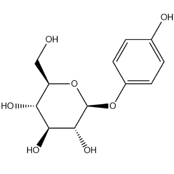 Beta-arbutina pulvoro 2.jpg