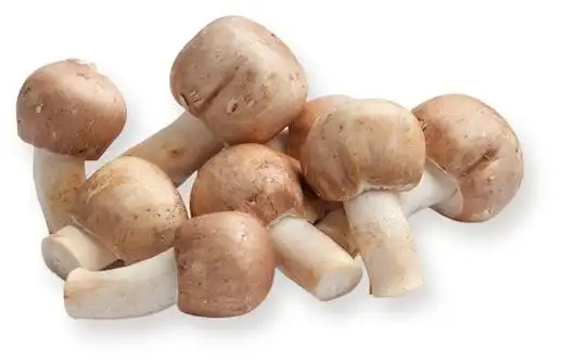 အော်ဂဲနစ် Agaricus Blazei Powder11.webp.jpg