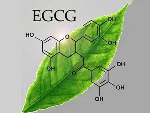 product-1-1 product-1-1