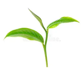 product-1-1 product-1-1