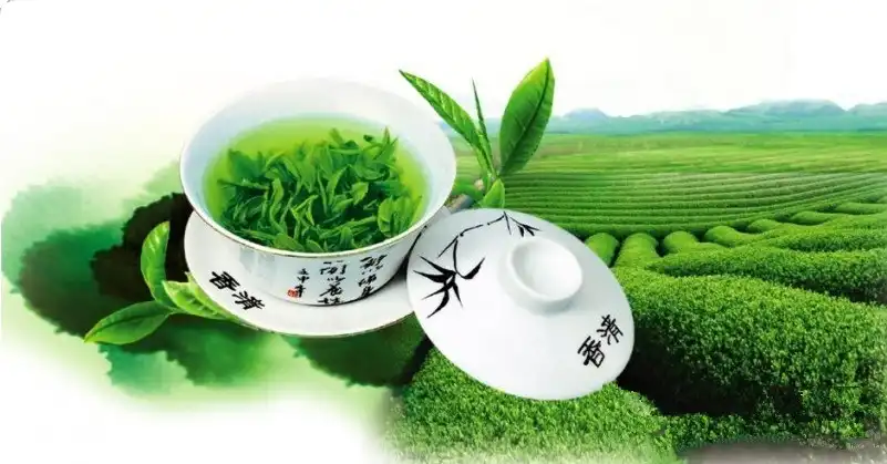 blog-1-1 blog-1-1