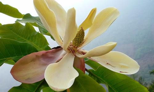 blog-1 1,