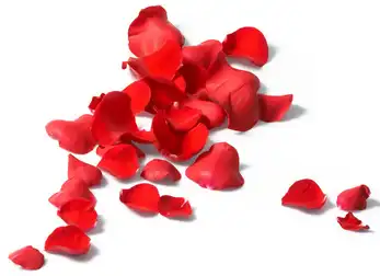 product-1-1 product-1-1