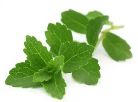 product-1-1 product-1-1