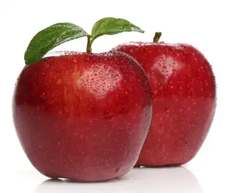 product-1-1 product-1-1