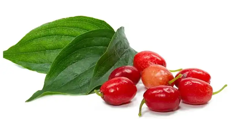 product-1-1 product-1-1