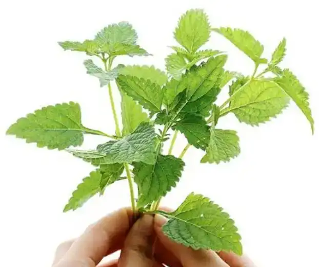 product-1-1 product-1-1