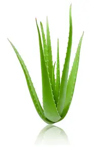 product-1-1 product-1-1