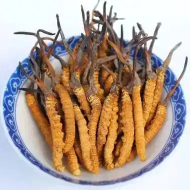 product-1-1 product-1-1