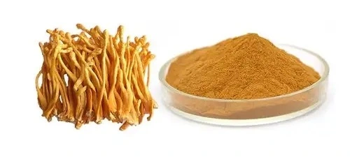 product-1-1 product-1-1