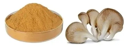 product-1-1 product-1-1