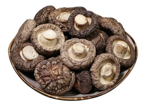 product-1-1 product-1-1