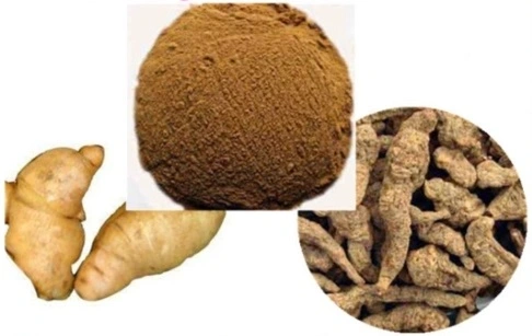 product-1-1 product-1-1