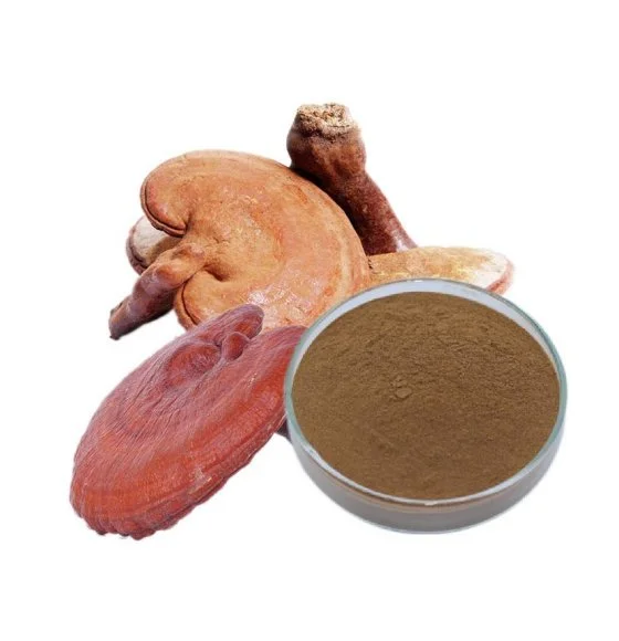 product-1-1 product-1-1