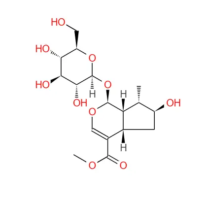 product-1-1 product-1-1
