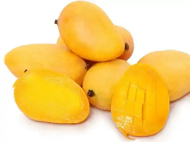 product-1-1 product-1-1