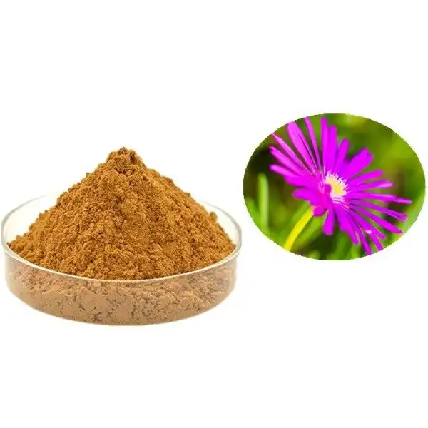 Natural Chicory Root Extract inulin