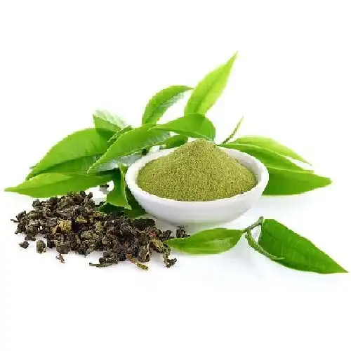 ထိပ်တန်းအဆင့် Green Tea Extract EGCG 45%-95% Epicatechin Powder Epicatechin