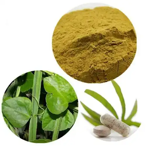 prírodný extrakt Cissus Quadrangularis 50:1 Cissus Powder