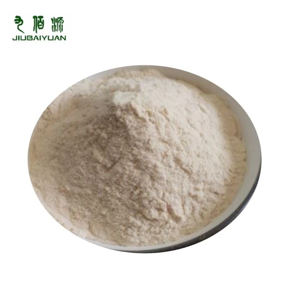 Soya Bean Protein Powder