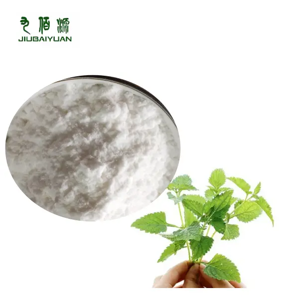 Natural Rabdosia Rubescens Extract